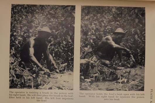 The Copernican Oracle